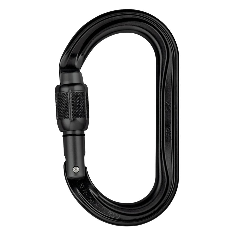 Black Carabiner
