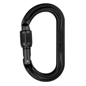 Black Carabiner
