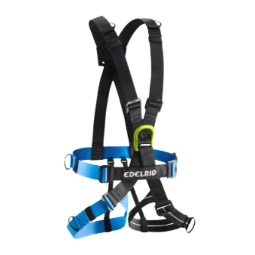 Radialis Comp III Junior