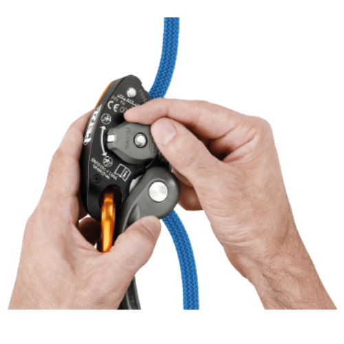 Grigri+
