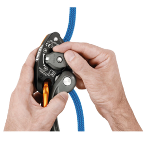 Grigri+
