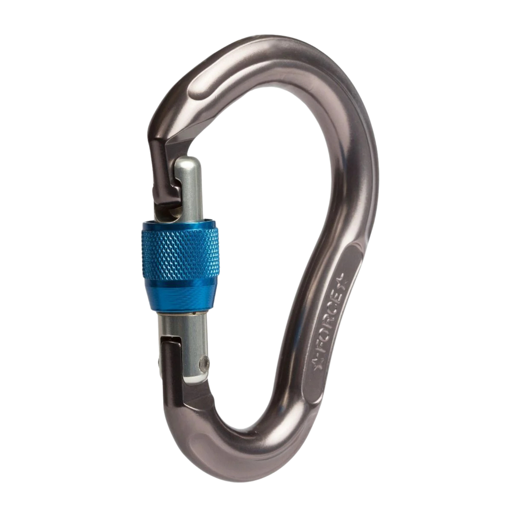 Gray Carabiner with Blue Accent