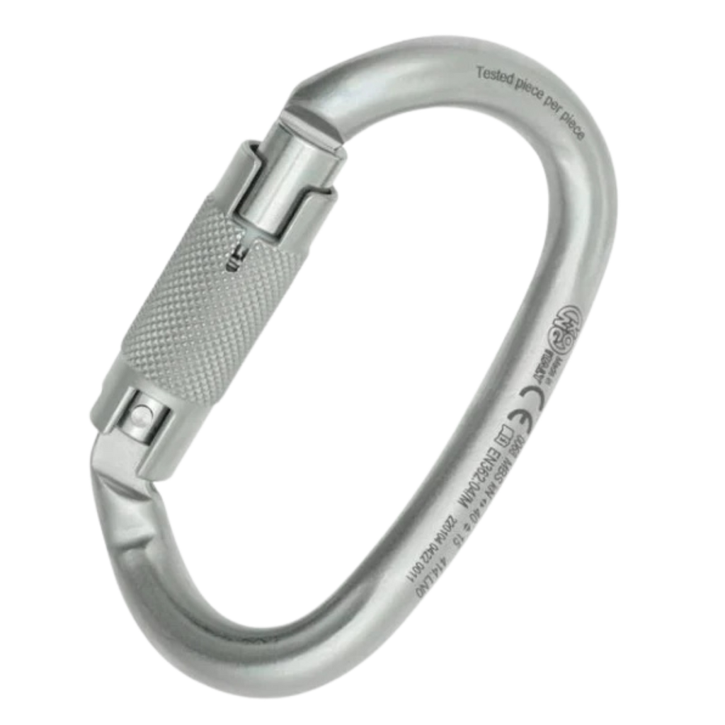 Silver Carabiner
