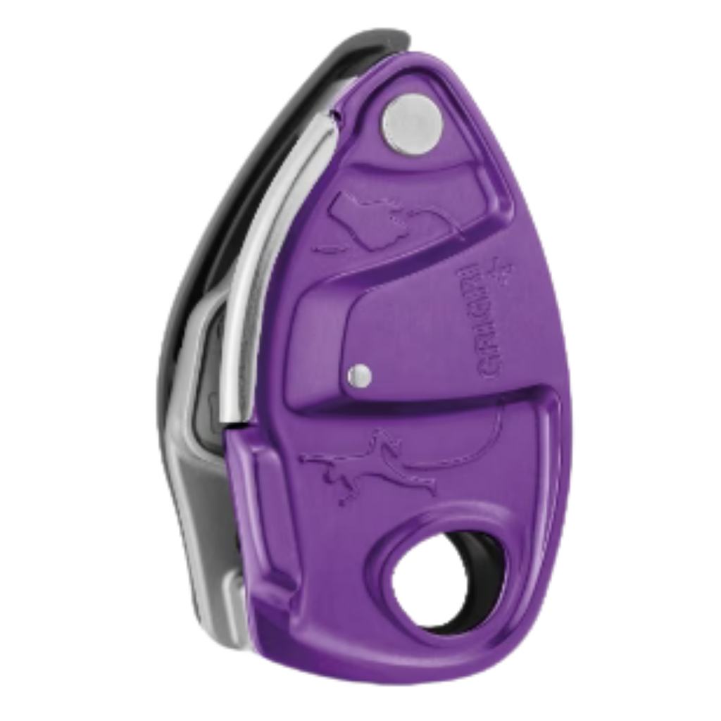 Purple Belay Device