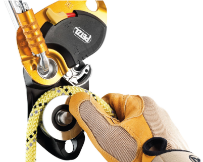 Pro Traxion Capture Pulley