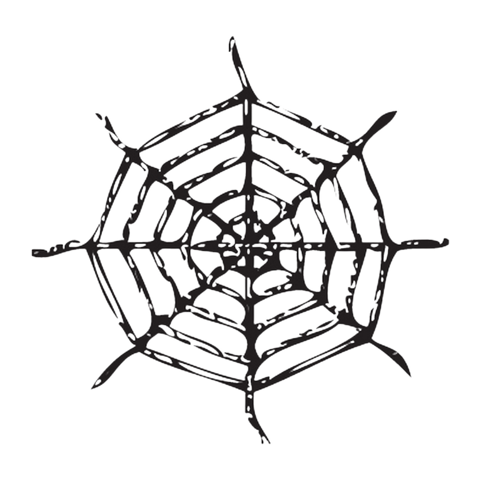 Spider Web Net